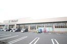 マルショク一枝店(スーパー)まで800m タツノ福柳ハイツ