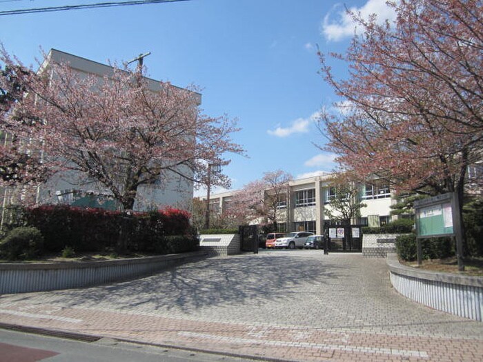 合川小学校(小学校)まで599m 風祭ﾊｲﾂ