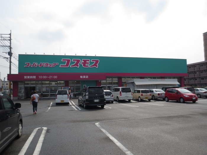 ディスカウントドラッグコスモス柚須店(ドラッグストア)まで812m ジュネスパラシオン豊原
