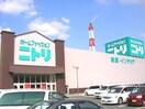 ニトリ八幡西店(電気量販店/ホームセンター)まで1200m シャトレ穴生５