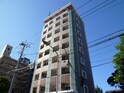 完成写真