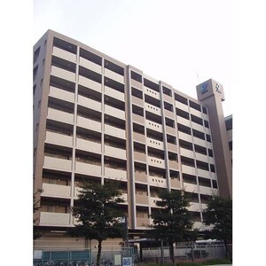 ﾀﾞｲﾅｺ-ﾄｴｽﾀﾃﾞｨｵ東公園Ⅱ(906)
