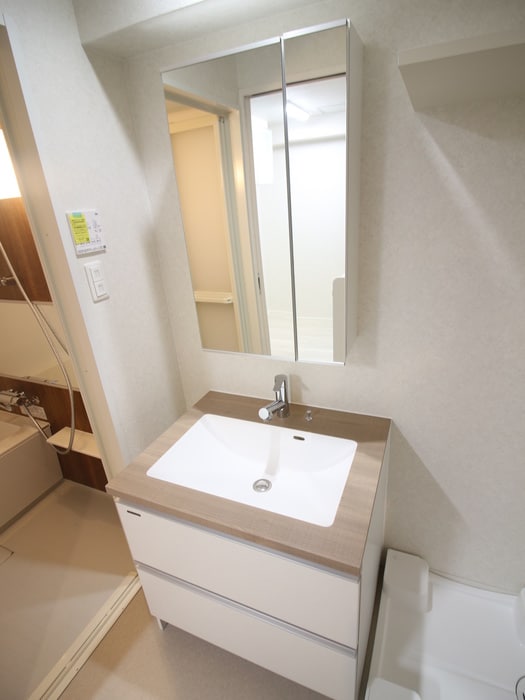 洗面 ネストピア藤崎駅前(502)