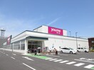 ゆめマート福津店(スーパー)まで1300m ル・リヤン