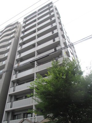 ダイナコ－ト天神南(1001)