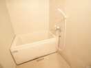 バス／シャワールーム等 ルミエール東大利