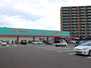 ディスカウントドラッグコスモス福間駅前店(スーパー)まで1000m サンガーデン福間Ａ棟