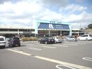 ホームプラザナフコ上津役店(電気量販店/ホームセンター)まで1700m プロムナード上上津役A