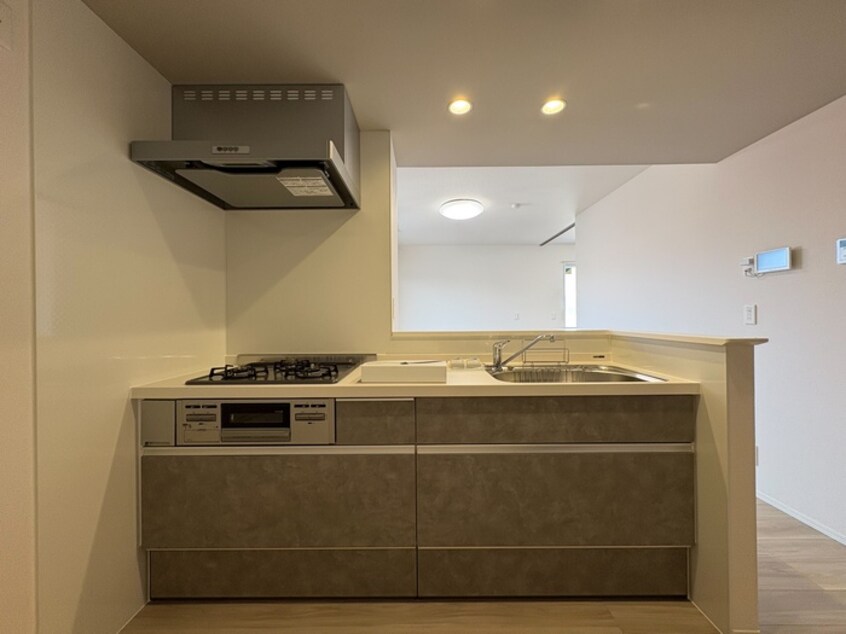 キッチン D-ROOM石丸Ⅱ