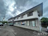 カミーリアアイラ