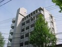 完成写真