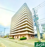 ﾌｪｽﾃｨｵ和白ﾊﾟｰﾑｶﾞｰﾃﾞﾝ（1209）