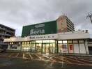 セリア東郷店(100均)まで900m グレイス田熊Ａ