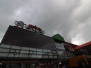 ドンキホーテ楽市街道箱崎店(ショッピングセンター/アウトレットモール)まで1900m リファレンス箱崎