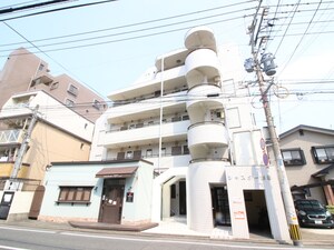 シャスタ－的野