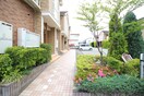 エントランス部分 コ－ポ東野Ｄ