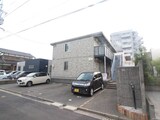 ひかり