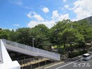 長浜公園(公園)まで100m エステ－トモア天神倶楽部