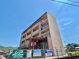コーポレーション丸美