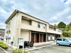 ベル・コリ－ヌⅡ