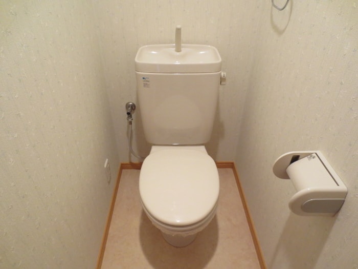 トイレ セピアコ－トⅡＡ棟