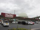 マックスバリュー愛宕店(スーパー)まで700m EMIREA日明Ⅰ