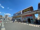 サンリブきふね(スーパー)まで900m アーベインルネス大手町７０３