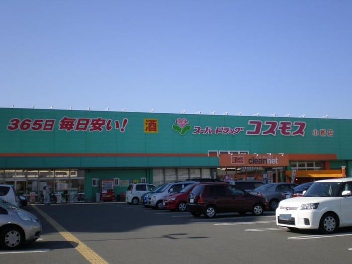 コスモス(ドラッグストア)まで750m ルーエンハイム