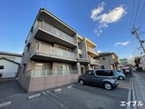 ステラオーキッド