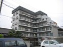 完成写真