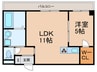 ブランドルフ 1LDKの間取り