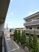 室内からの展望 ブランドルフ