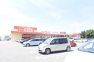 ザ・ビッグ十三部店(スーパー)まで900m ブランドルフ