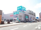 ニトリ小倉北店(電気量販店/ホームセンター)まで590m シャトレ吉野町