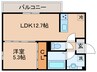 仮)TORISIA陣原 1LDKの間取り