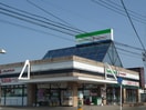 ファミリーマートドラッグイレブン志免店(コンビニ)まで300m ルミエ－ル南里