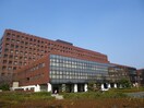 産業医科大学病院(病院)まで1930m ベル・ドミ－ルＡ棟