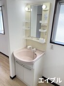 洗面 桜島ビューハイツ