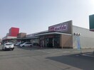 マックスバリュー新入店(スーパー)まで1300m カ－サＫ．Ｆ．