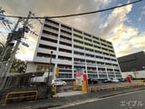 ORIENT BLD No.81 AMARIGE