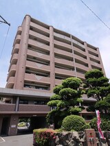 アヌビアス紫川