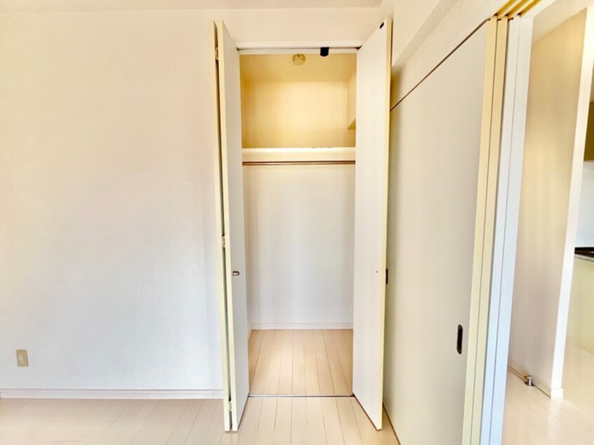 収納 アンテスⅡ