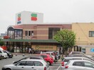 スピナマートさくら通り店(スーパー)まで1200m エクセランエトゥワ－ル