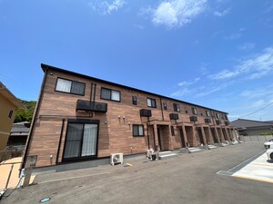 シャルムの樹
