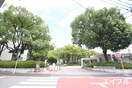 kyuusyuu universitey(大学/短大/専門学校)まで21m 古城戸ハイツ