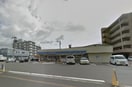 ローソン　吉塚3丁目店(コンビニ)まで587m ウィンコ－ト１０