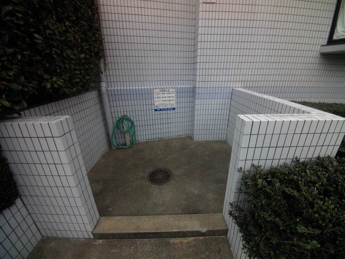 その他 ＳＯコスモス