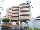 スカイハイツ南福岡（204）の外観