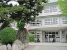 櫛原中学校(中学校/中等教育学校)まで100m The　Trinity東櫛原