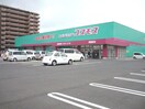 コスモス(ドラッグストア)まで212m アルカ－ノ